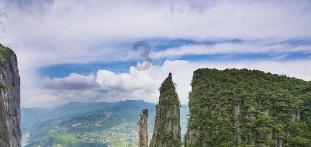 动物帮帮忙保卫家园