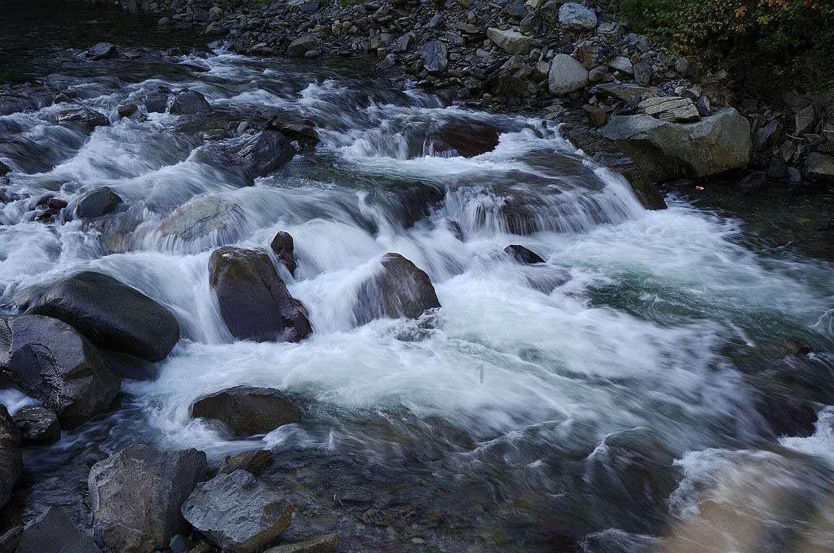 虫虫助手下载